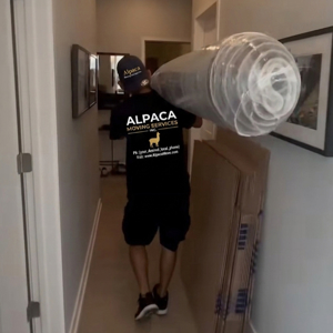 Moving Container, Moving Boxes, Moving Truck, Moving Blankets, and Movers from Alpaca Moving Services Inc uploaded 10:22 AM on Aug 12th, 2026