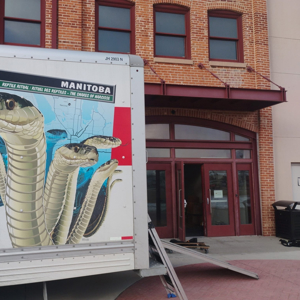 Moving Truck, Movers, Moving Boxes, Moving Container, and Moving Blankets from NexMove uploaded 9:24 AM on Feb 11th, 2026