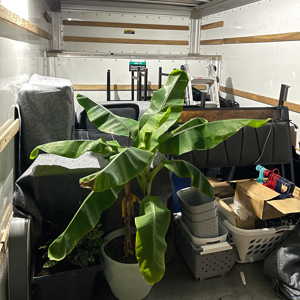 Movers, Moving Boxes, Loading, Furniture, and Packing from Moving masters uploaded 1:00 AM on Mar 2nd, 2026