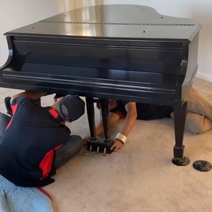 Loading, Unloading, Furniture Dolly, Assembly or Disassembly, and Packing from Team Up Movers uploaded 3:45 PM on Apr 10th, 2025
