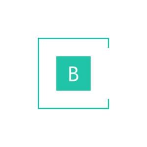 Bravo Moving and Storage LLC Profile Image