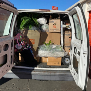 Plastic Wrap, Packing, Movers, and Moving Boxes from Fast Labor Force uploaded 10:33 AM on Aug 1st, 2025