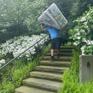 Furniture, Stairs, and Movers from Binding Moving and Storage uploaded 10:40 AM on Mar 1st, 2026