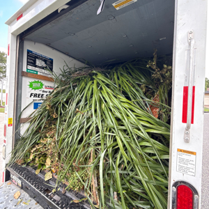 Assembly or Disassembly, Movers, Moving Truck, Loading, and Unloading from Dolly Men Moving Labor uploaded 2:55 PM on Sep 23rd, 2025