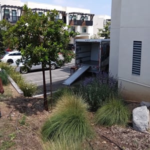 Moving Boxes, Moving Truck, and Loading from Rough Cutt Movers uploaded 2:15 PM on May 20th, 2026