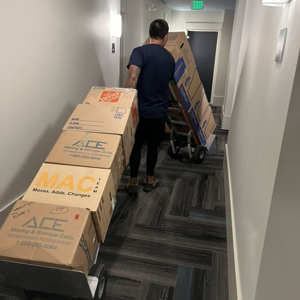 Unloading, Movers, Furniture Dolly, Hand Truck, and Moving Boxes from Grandmas Boy Moving Co uploaded 10:36 AM on May 14th, 2026