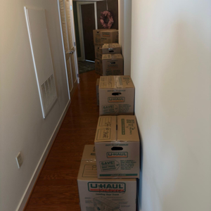 Moving Boxes, Movers, Packing, Unloading, and Loading from Boss Moving Company LLC uploaded 12:51 PM on Mar 25th, 2026