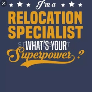 The Relocation Specialist Logo or Profile image uploaded 2:25 AM on Apr 23rd, 2020