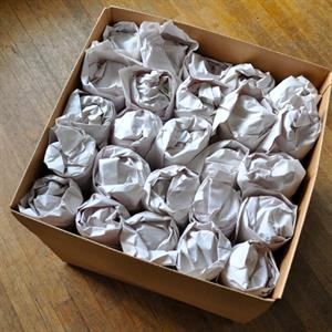 Movers, Loading, Packing, Moving Truck, and Moving Boxes from Professional Movers Group uploaded 3:56 PM on Oct 25th, 2022