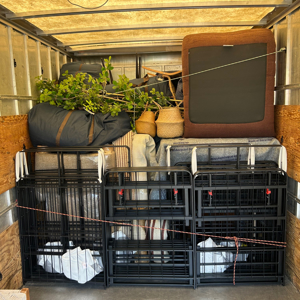 Moving Boxes, Loading, Packing, Unloading, and Furniture from Rose City Moving & Junk LLC uploaded 11:13 PM on Sep 24th, 2026