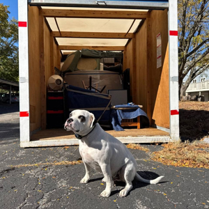 Customers, Furniture, Moving Container, and Loading from ZIPMOVING LLC uploaded 8:27 AM on Sep 18th, 2025