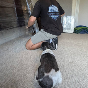 Plastic Wrap, Furniture, Movers, Packing, and Customers from ZIPMOVING LLC uploaded 8:26 AM on Sep 18th, 2025