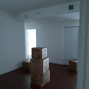 Plastic Wrap, Movers, Moving Blankets, Furniture, and Moving Boxes from Penguin moving uploaded 11:50 AM on Jun 9th, 2020