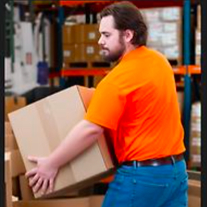 Moving Boxes, Customers, Loading, Unloading, and Movers from Gopher Moving Company uploaded 11:04 AM on Oct 17th, 2025