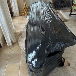 Moving Blankets, Movers, and Plastic Wrap from Joe Griffin Delivers uploaded 7:20 AM on Aug 31st, 2025