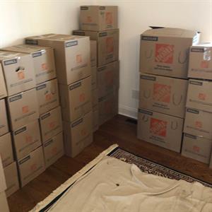  from First Class Moving & Removal LLC uploaded 1:42 PM on Nov 22nd, 2023