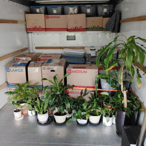 Stairs, Hand Truck, Safe or Gun Safe, Furniture Dolly, and Unloading from Vanguard Moving and Logistics uploaded 10:04 AM on Sep 17th, 2026