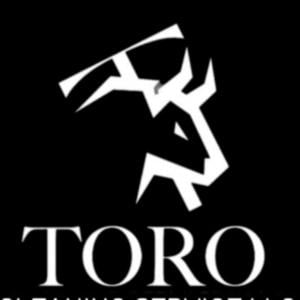 Toro Premium Services LLC Profile Image