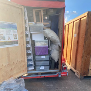 Packing, Loading, Movers, and Unloading from Who's Moving? LLC uploaded 5:02 PM on Sep 15th, 2026