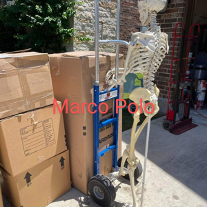 Moving Boxes, Hand Truck, Furniture Dolly, and Mask from Marco Polo Pro Moving uploaded 4:06 PM on Jun 26th, 2025