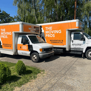 Customers, Loading, Moving Truck, Furniture, and Movers from The Moving Pros uploaded 9:13 AM on Apr 2nd, 2025