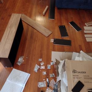  from Platinum Movers LLC uploaded 12:21 PM on Aug 18th, 2022