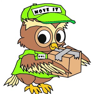 Owl Move It Logo or Profile image uploaded 10:02 PM on Mar 21st, 2020