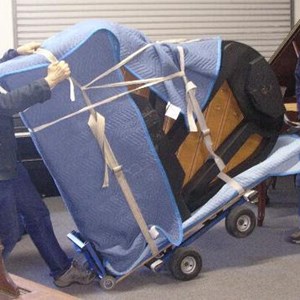 Hand Truck, Movers, Moving Blankets, Piano, Loading, and Ropes/Straps/Tie-downs from Community Movers uploaded 12:47 PM on Mar 2nd, 2020