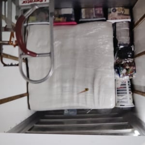 Moving Truck, Hand Truck, Moving Container, Loading, and Furniture Dolly from More Than Movers uploaded 2:41 PM on Jun 9th, 2026